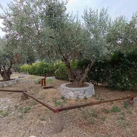 Monolia Sea View Stone With Garden Villa